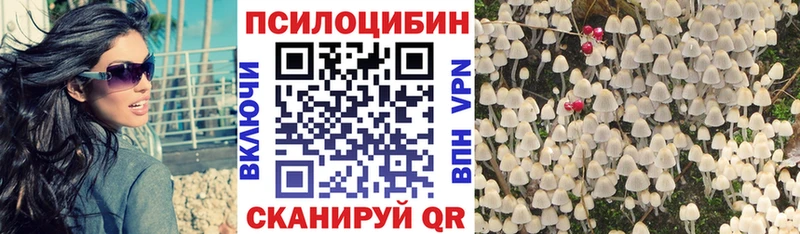 Псилоцибиновые грибы Psilocybine cubensis  kraken tor  Урень 
